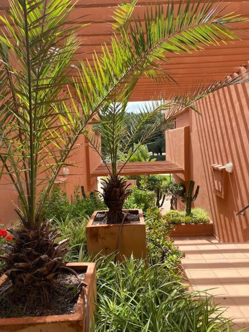 Lejlighed Cabopino Golf And Only Adults